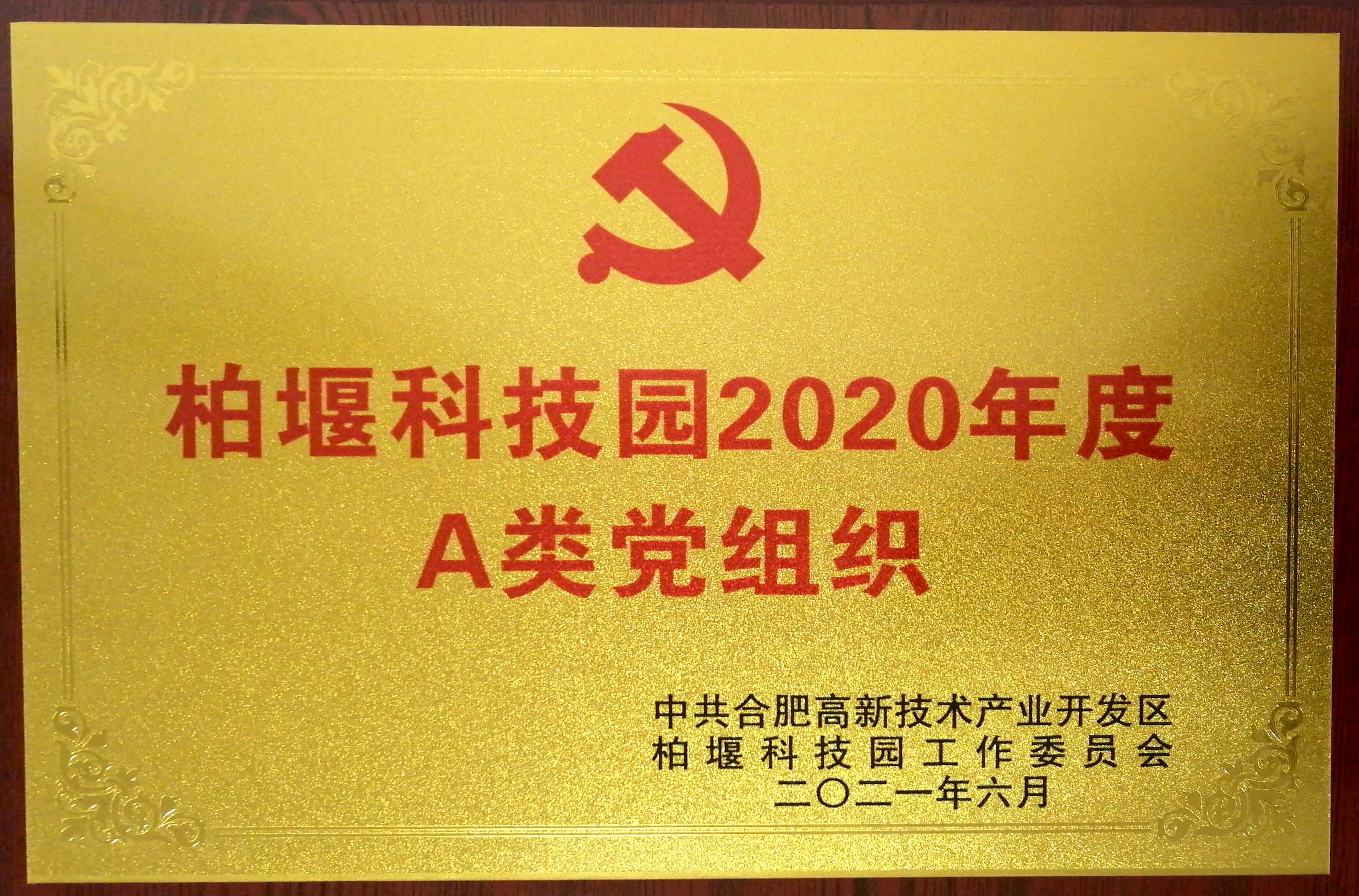 安徽深蓝医疗科技股份有限公司党支部被评为“柏堰科技园2020年度A类党组织”